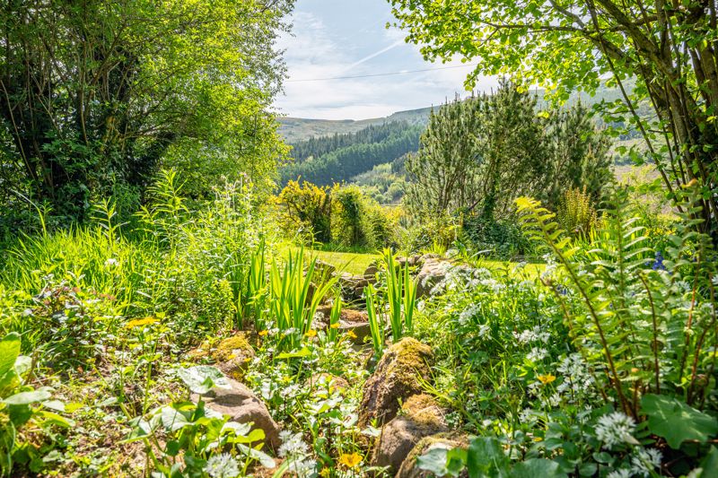 Setting- click for photo gallery